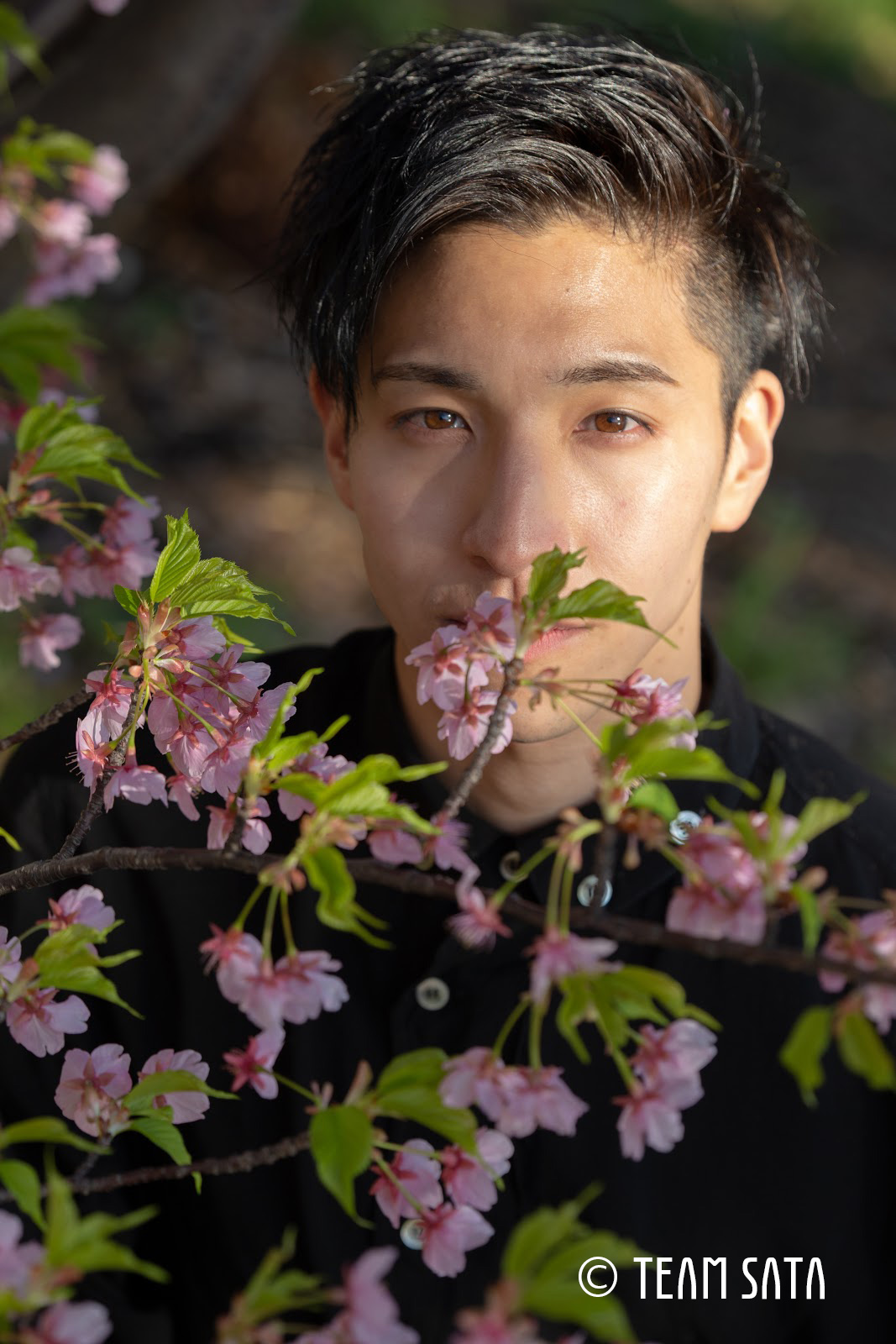 和久井大城　スナップ写真　桜